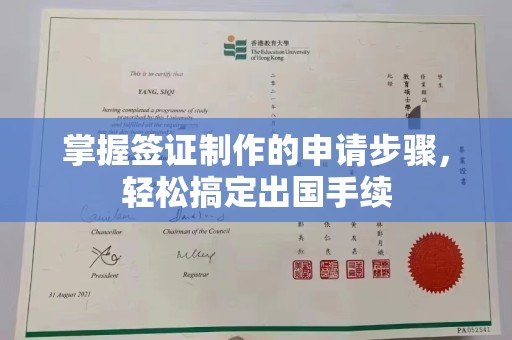 沙洋掌握签证制作的申请步骤，轻松搞定出国手续